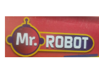 Mr Robot