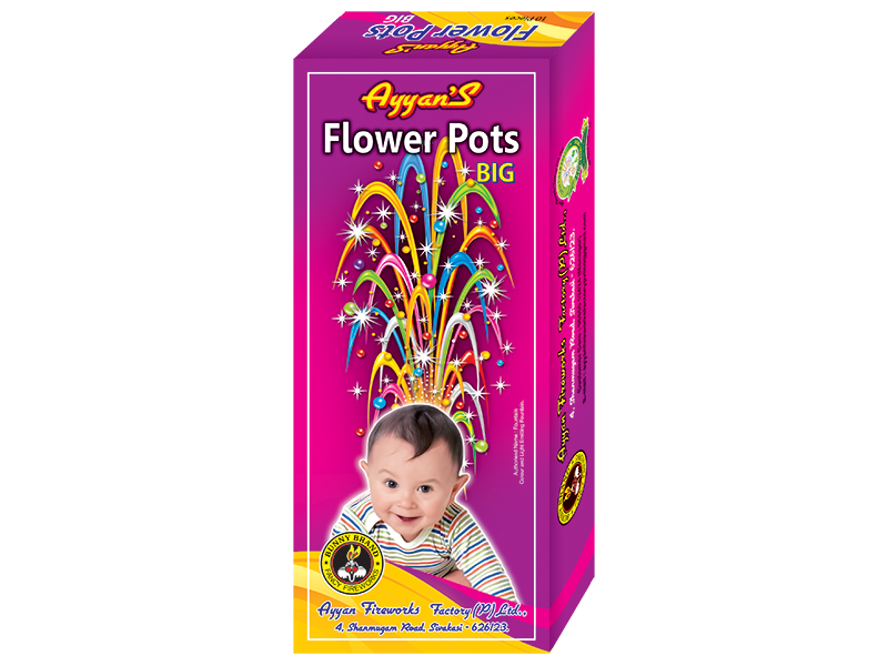 Flower Pot Big - 10 Pcs